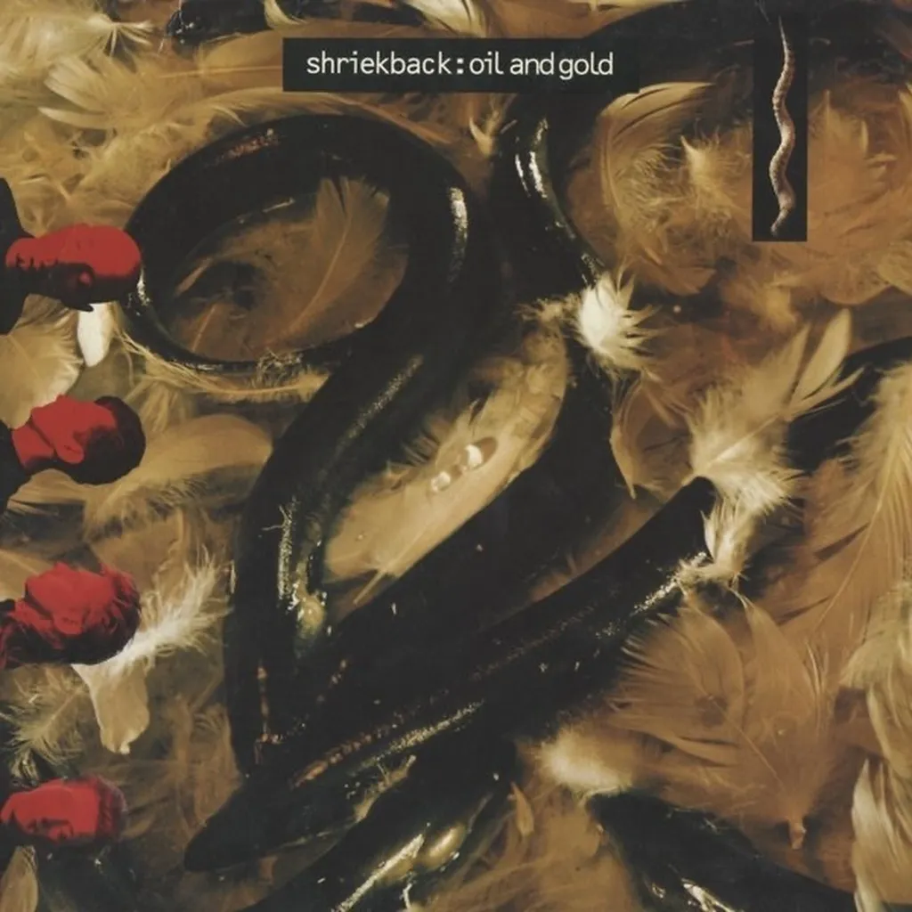 Lined Up by Shriekback cover