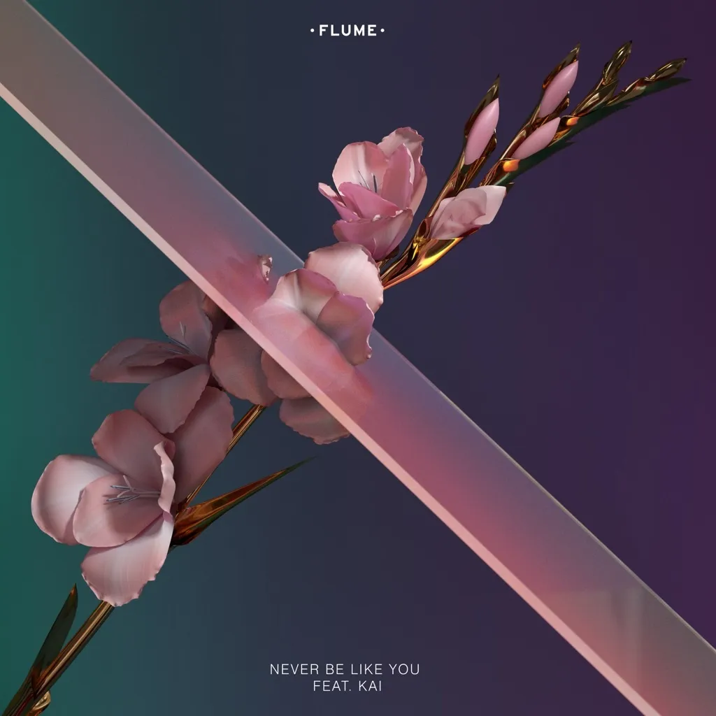 Never Be Like You by Flume feat. Kai cover