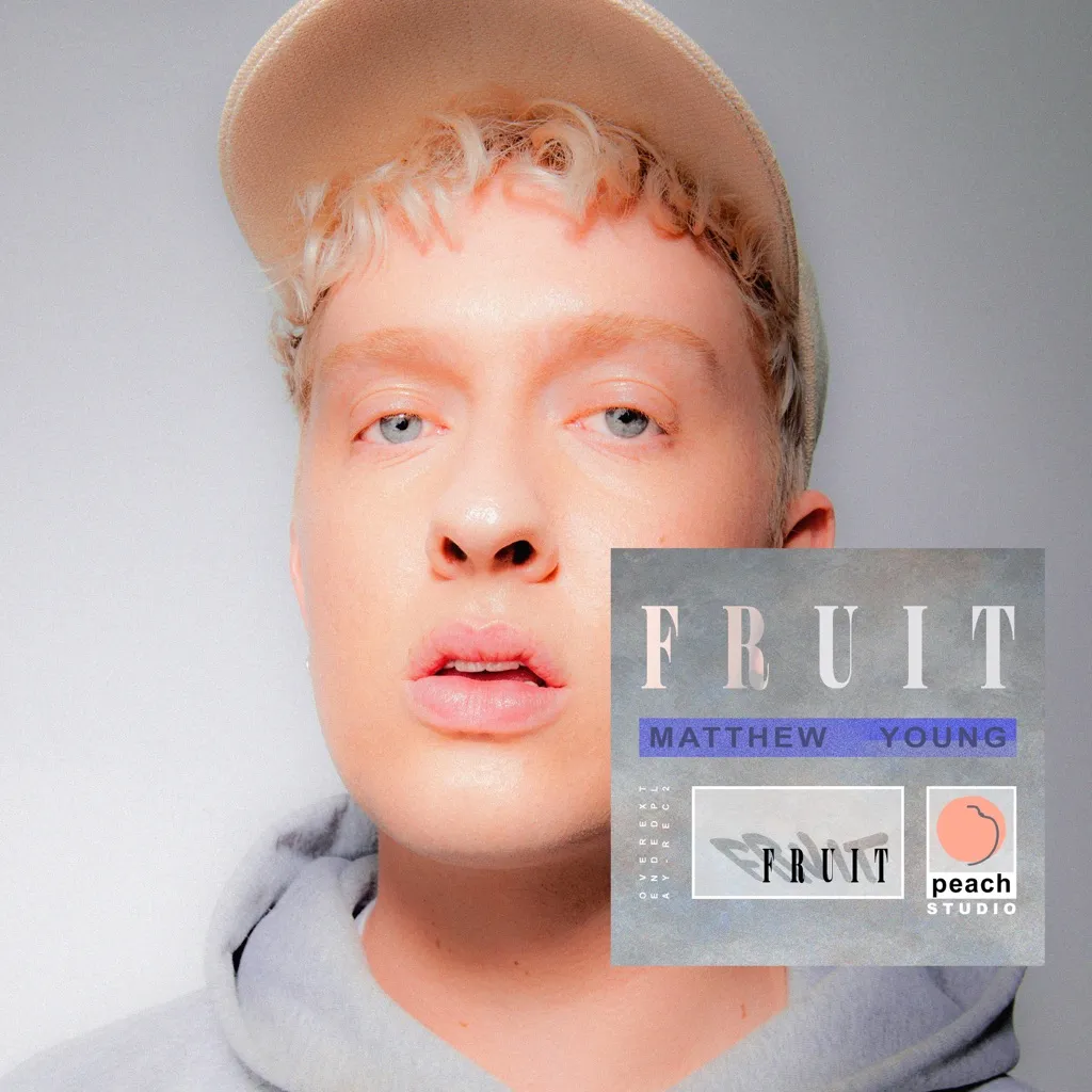 Fruit by Matthew Young cover