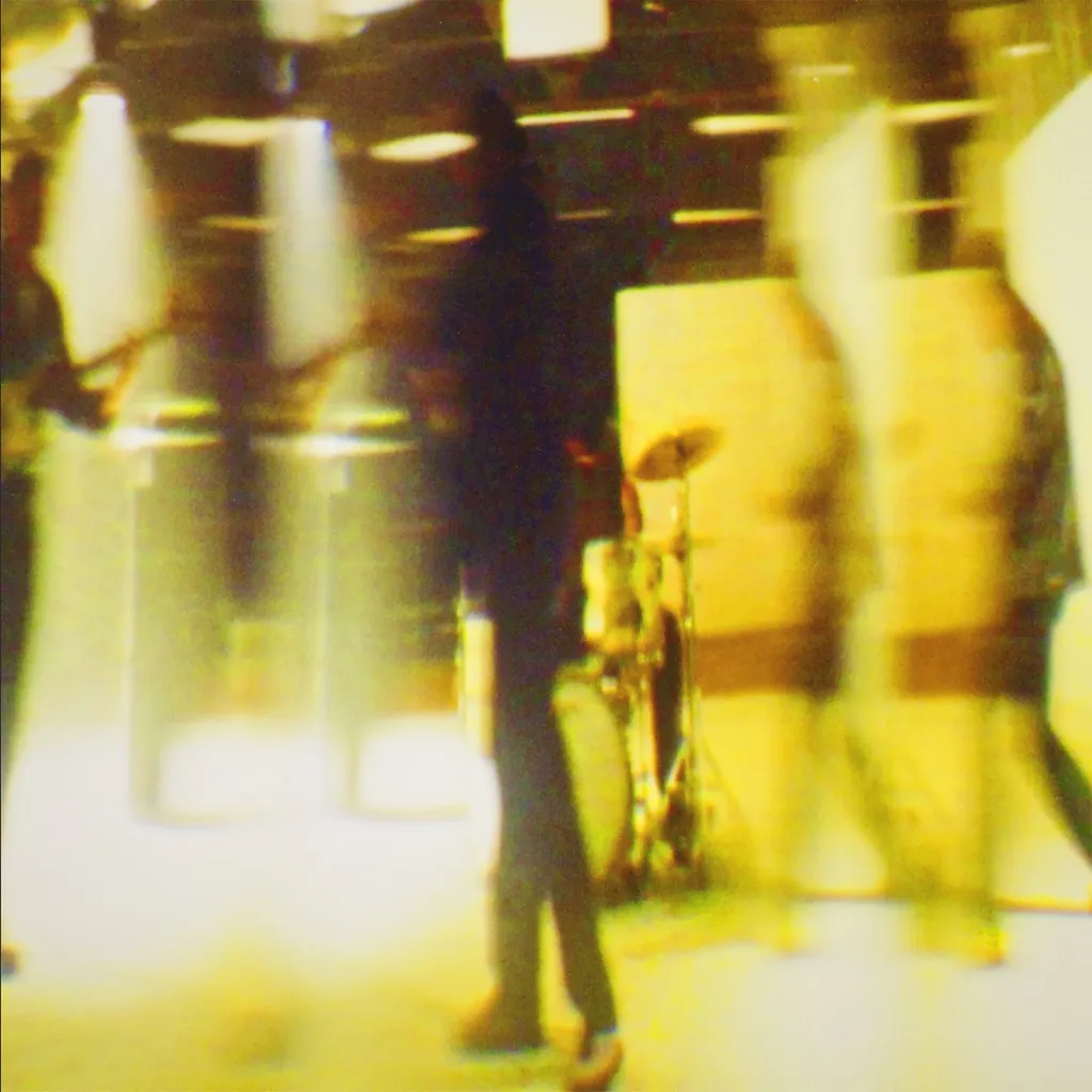 Into The Wild by The Temper Trap cover