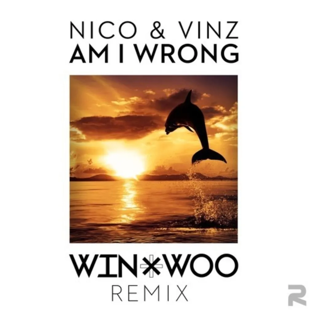 Am I Wrong by Nico And Vinz cover