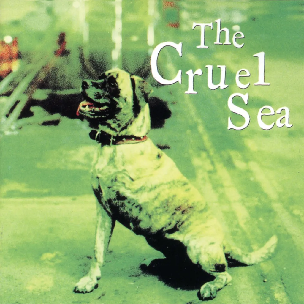 Three Legged Dog by The Cruel Sea cover