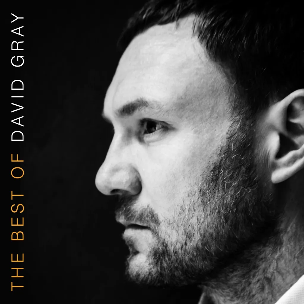 BABYLON by David Gray cover