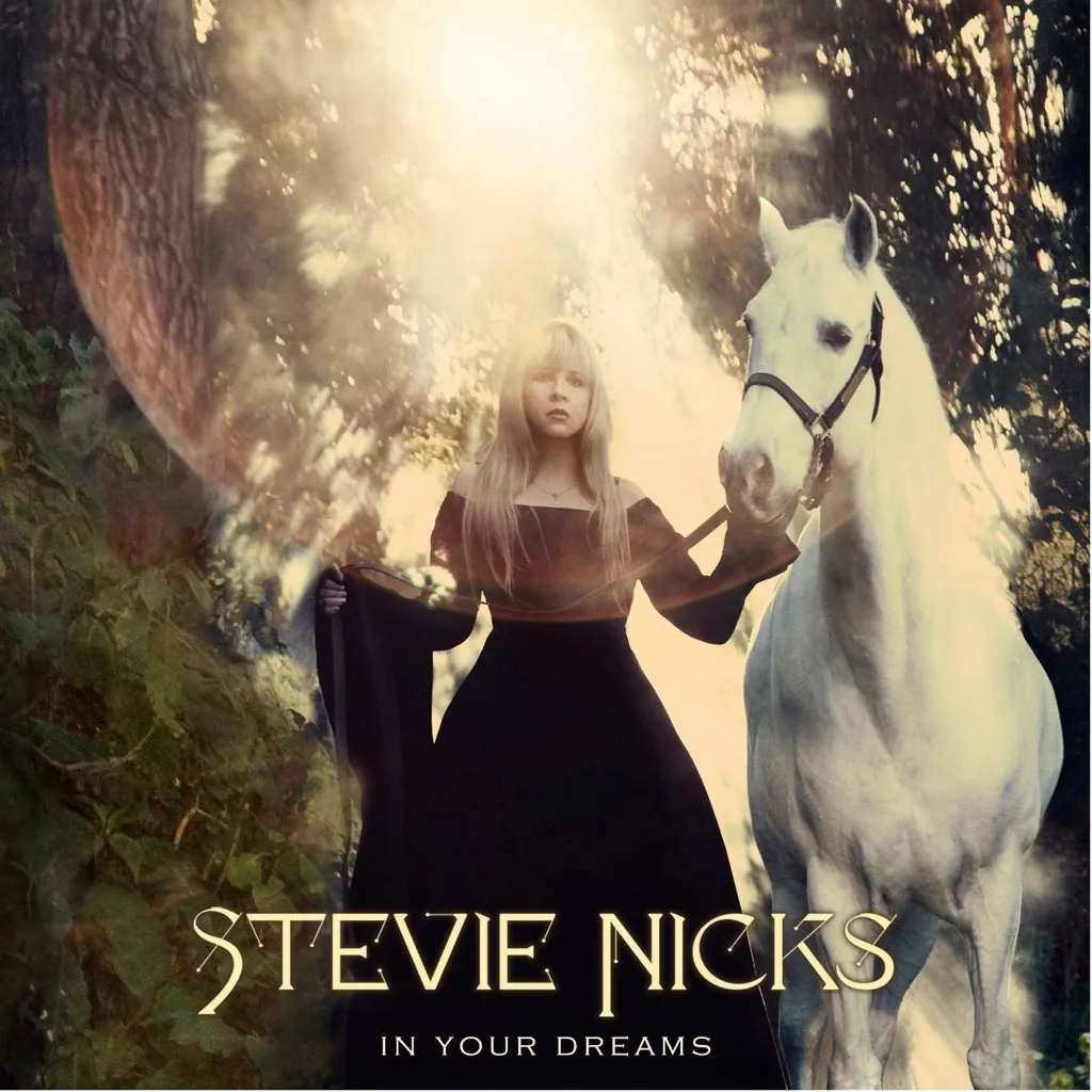 In Your Dreams by Stevie Nicks cover