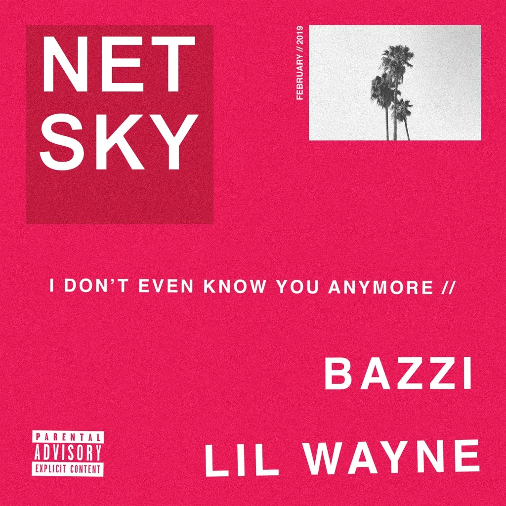 I Don't Even Know You Anymore by Netsky feat. Bazzi And Lil Wayne cover