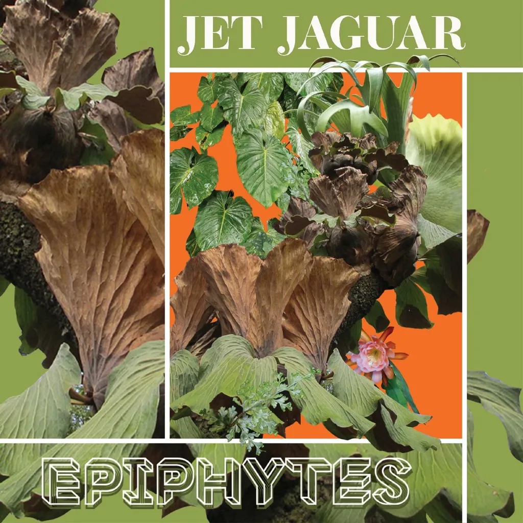 Epiphytes by Jet Jaguar cover