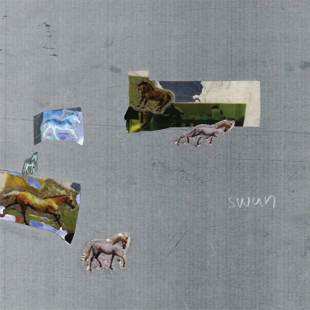 Wrong Party by Fazed On A Pony cover