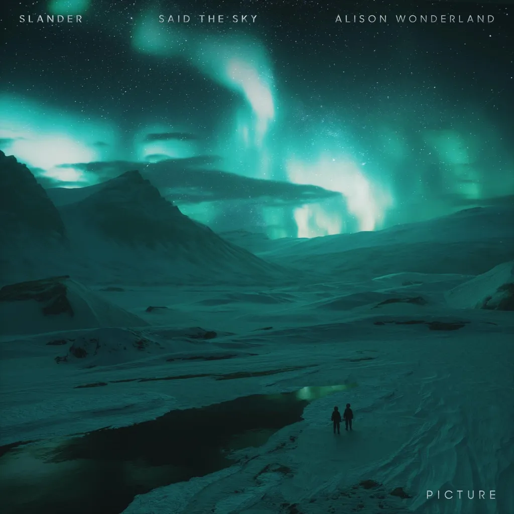 Picture by SLANDER, Alison Wonderland And Said The Sky cover