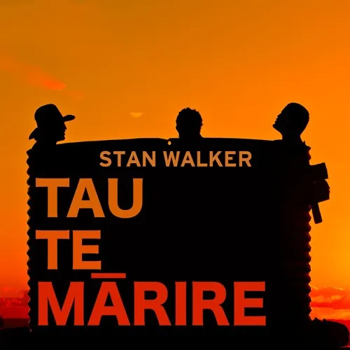 Tau Te Marire (Take It Easy) by Stan Walker cover