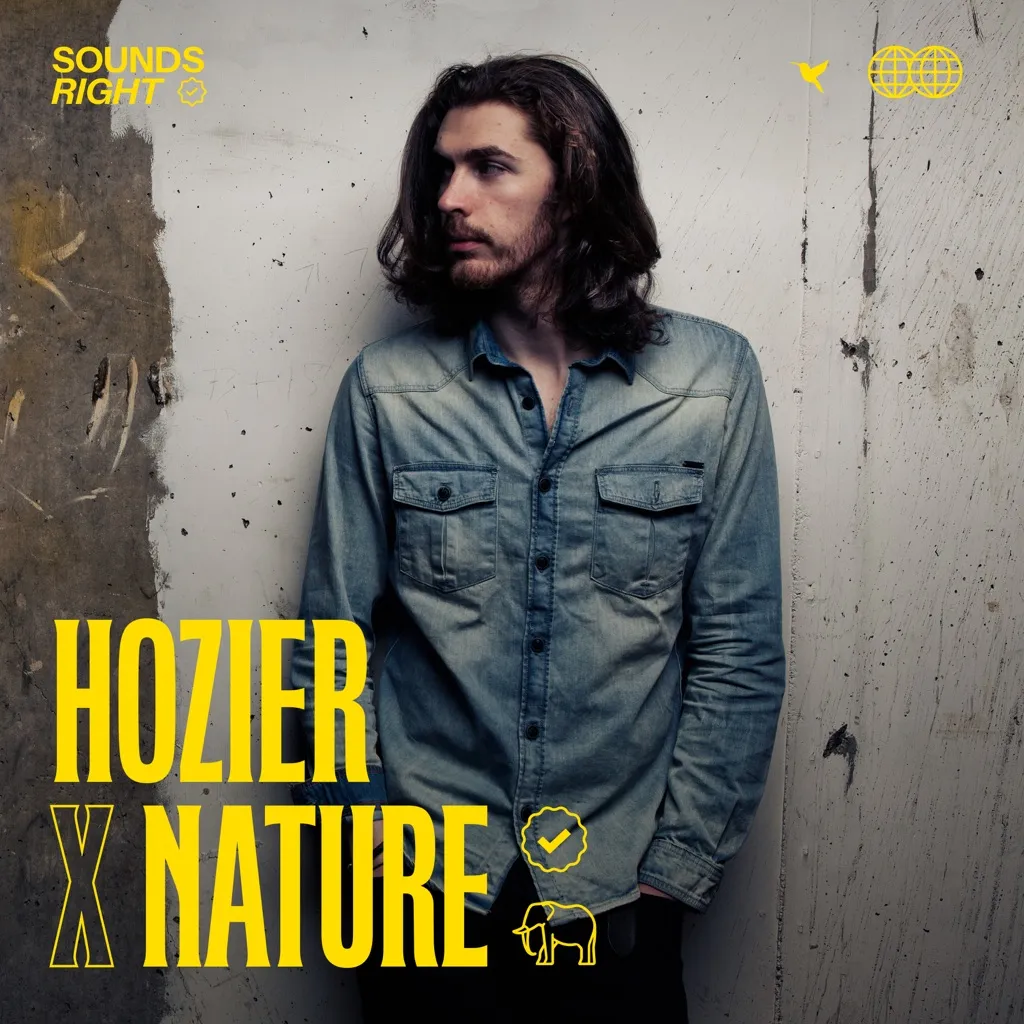 Like Real People Do by Hozier feat. NATURE cover