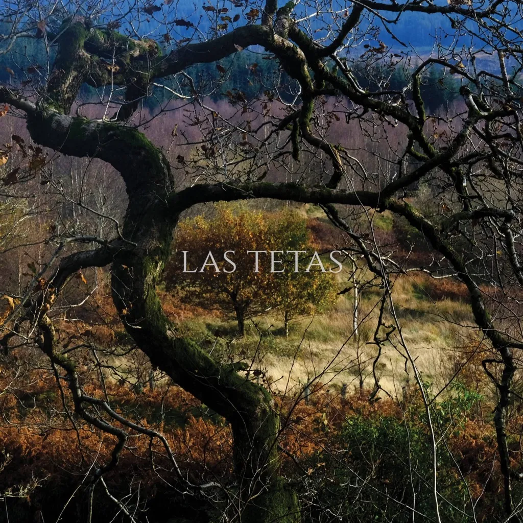 Las Tetas by Las Tetas cover