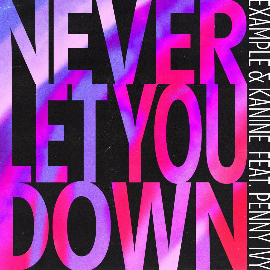 Never Let You Down by Example And Kanine feat. Penny Ivy cover