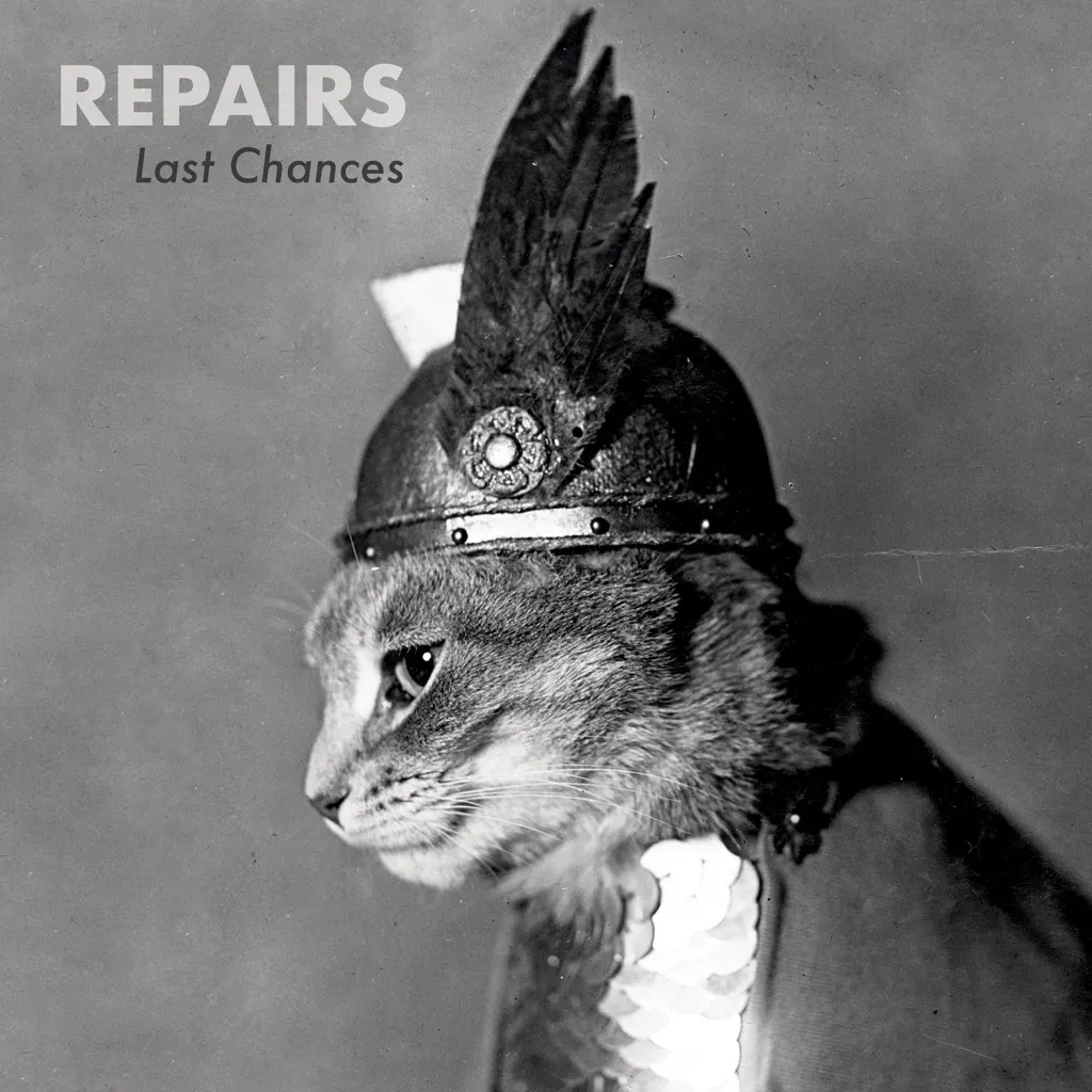 Last Chances by Repairs cover