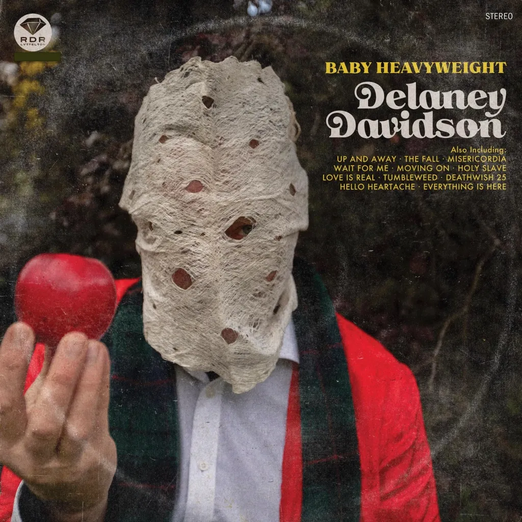 Baby Heavyweight by Delaney Davidson cover