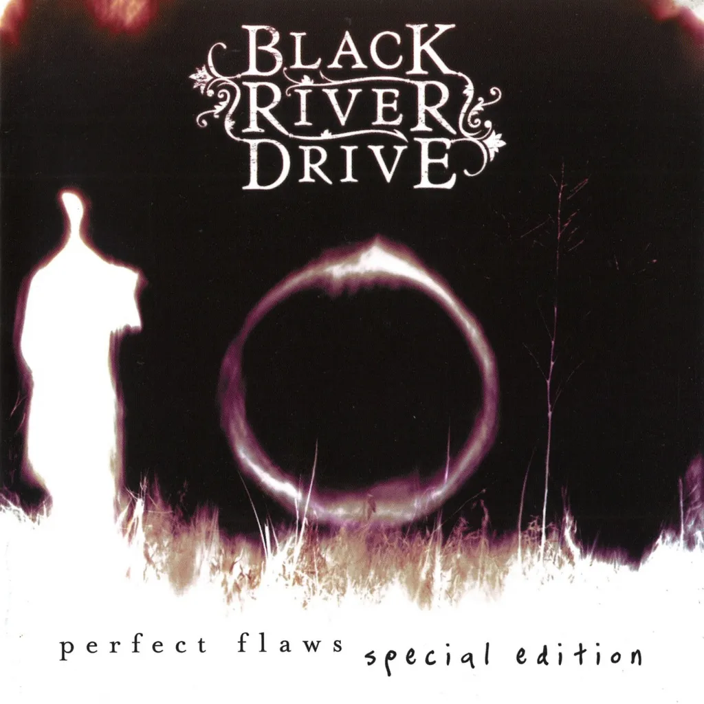 Perfect Flaws by Black River Drive cover