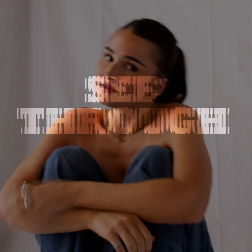 See Through by Lucy Ward cover