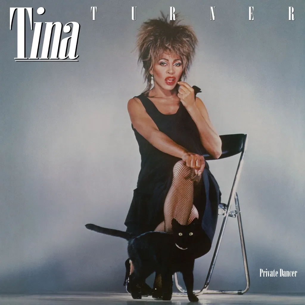 Private Dancer by Tina Turner cover