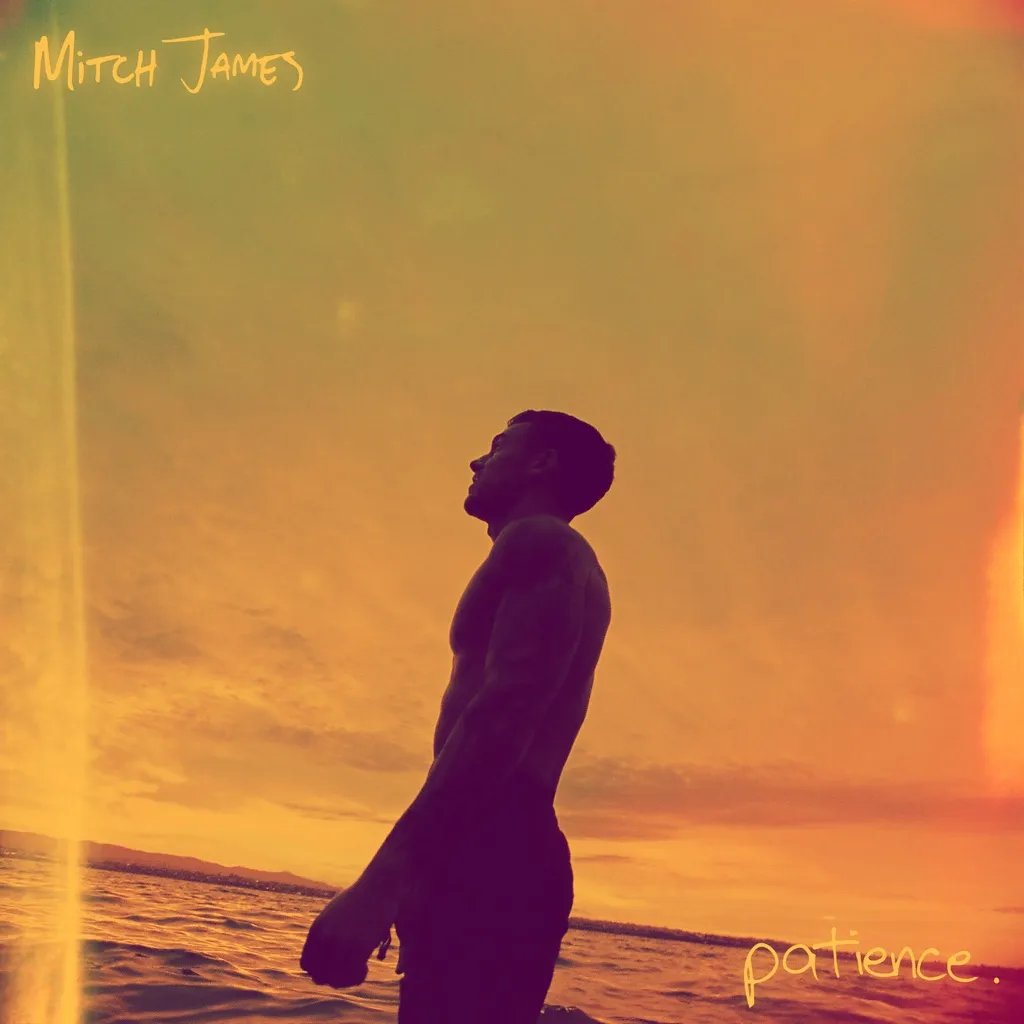 patience by Mitch James cover