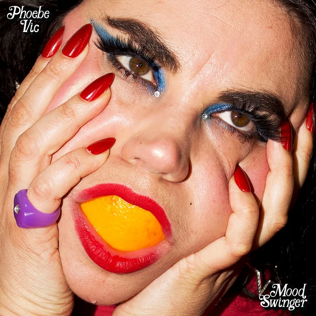 Mood Swinger by Phoebe Vic cover