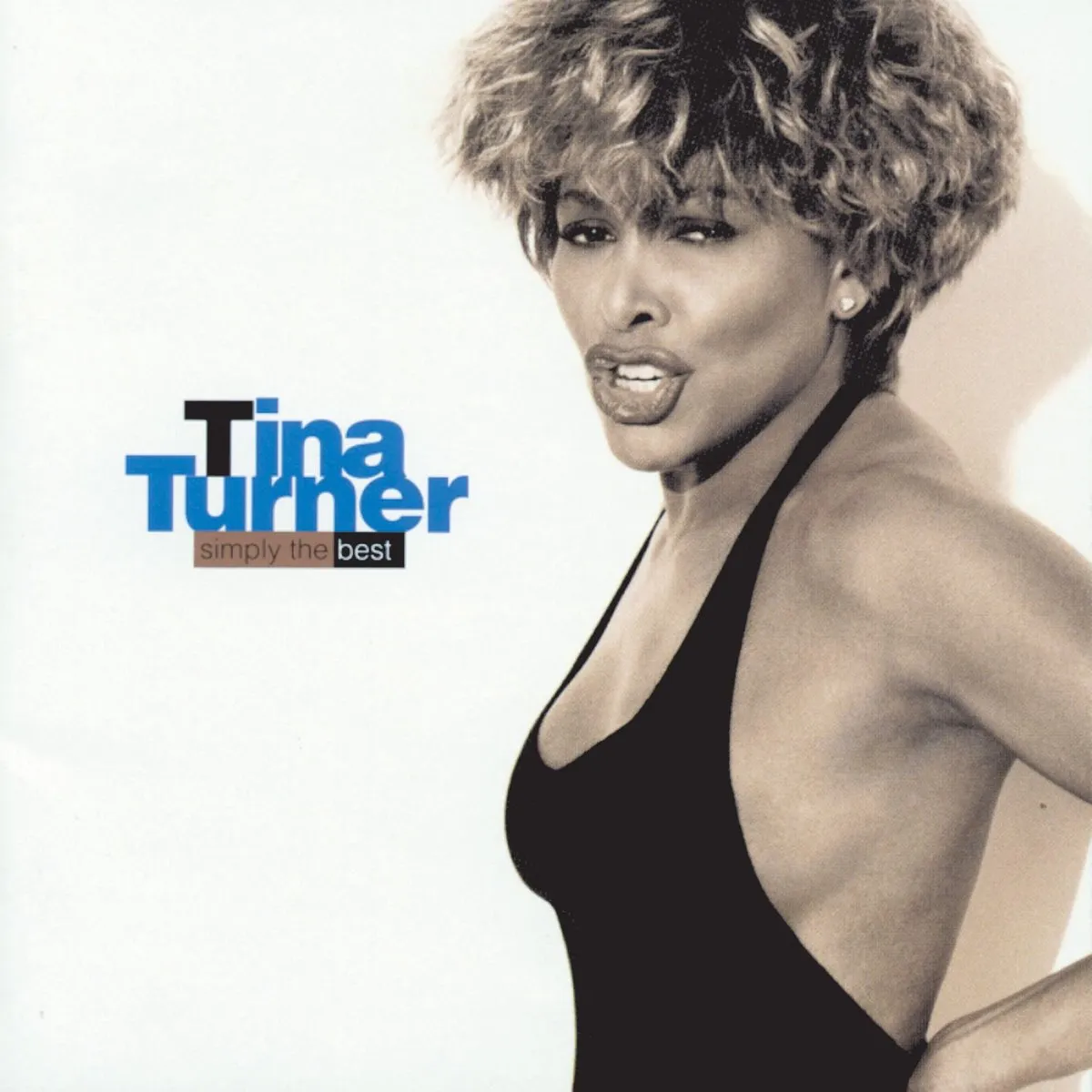 The Best by Tina Turner cover