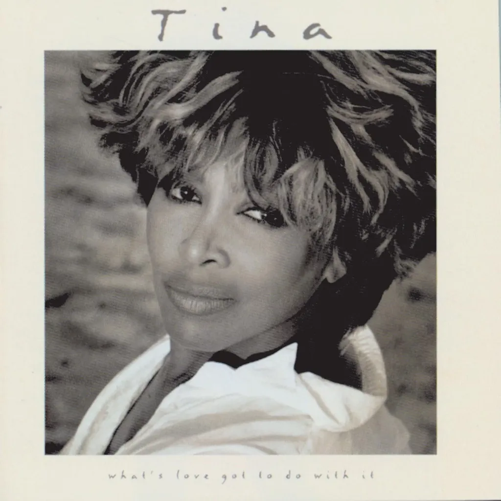 Whats Love Got To Do With It by Tina Turner cover