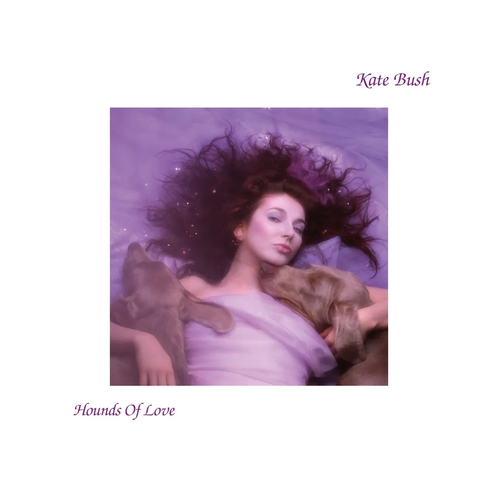 Running Up That Hill (A Deal With God) by Kate Bush cover