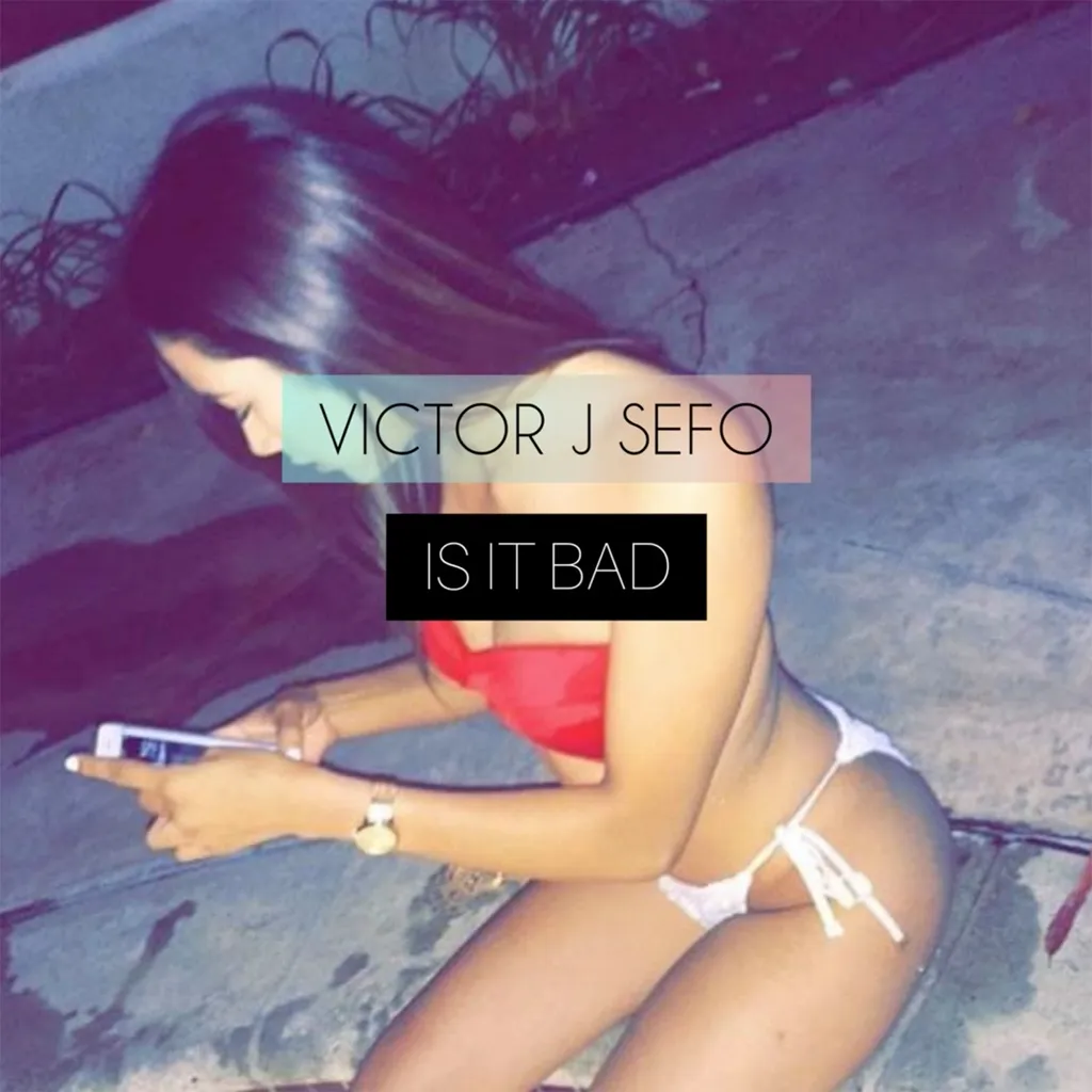 Is It Bad by Victor J Sefo cover