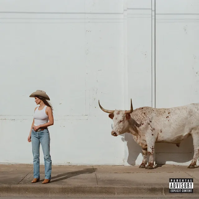 Horses And Divorces by Kacey Musgraves feat. Miranda Lambert cover