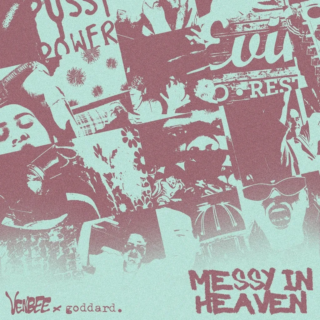 messy in heaven by venbee And goddard. cover