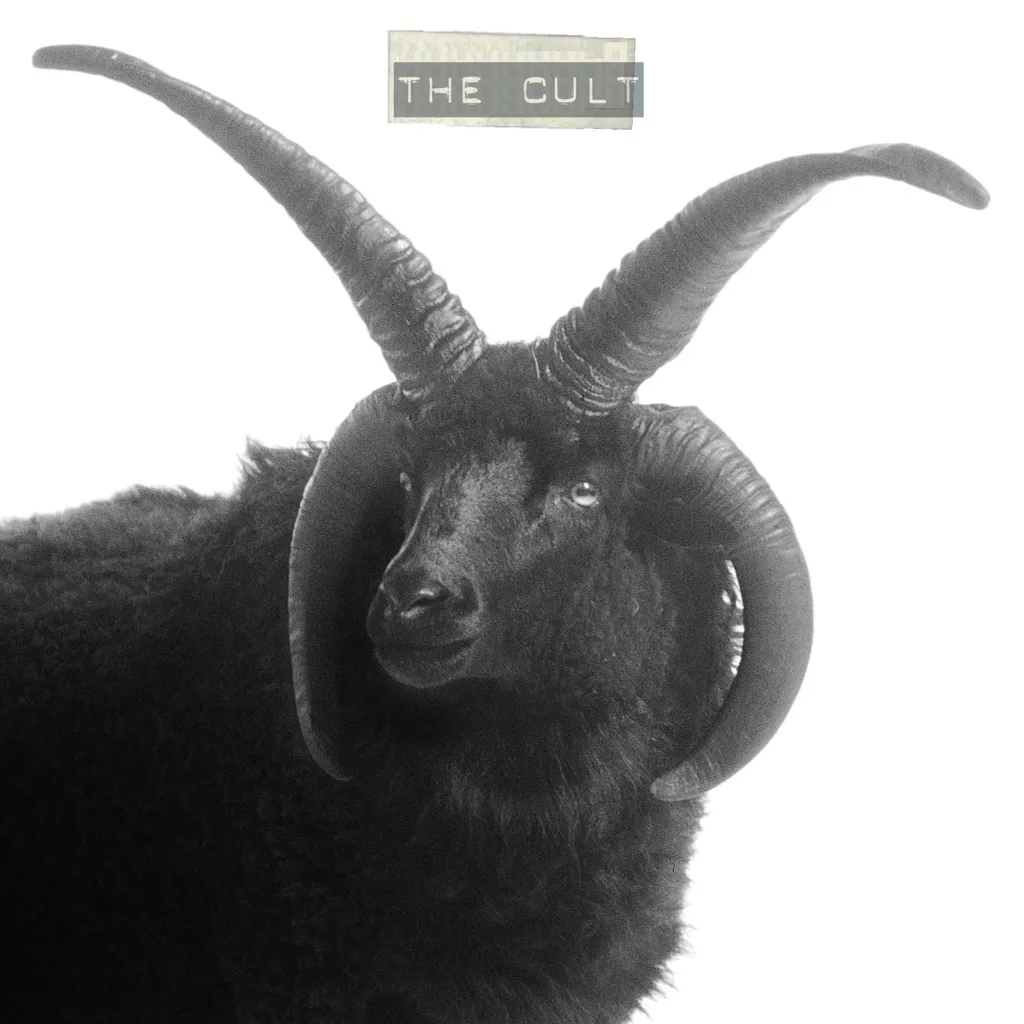 The Cult by The Cult cover