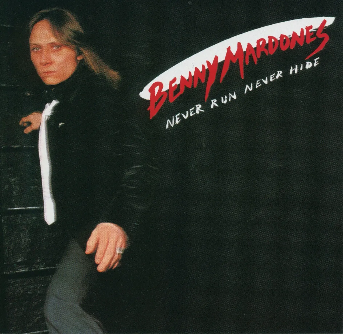 Into The Night by Benny Mardones cover