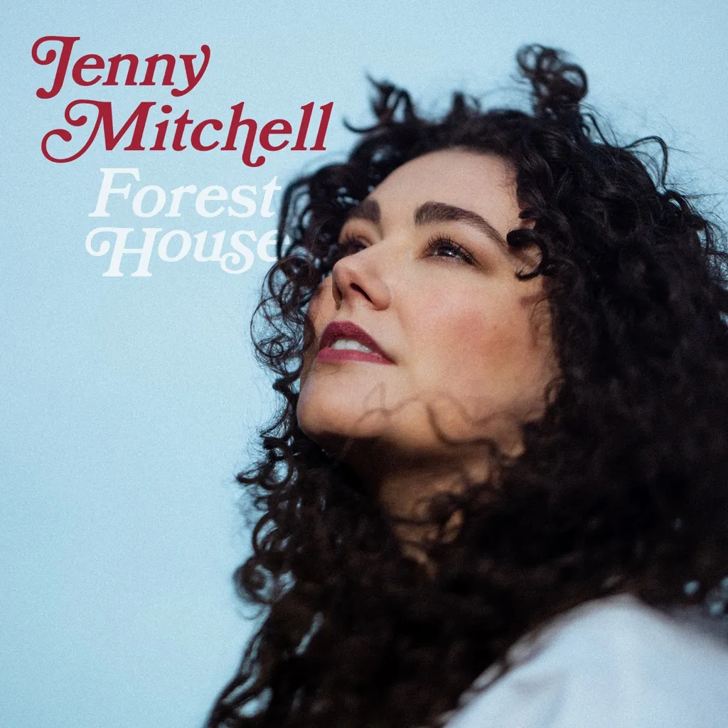 Heart Like A House by Jenny Mitchell cover