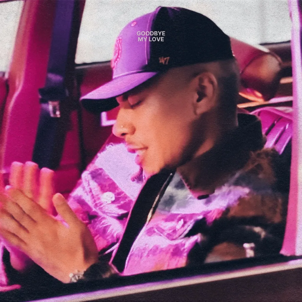 Goodbye My Love by Donell Lewis cover