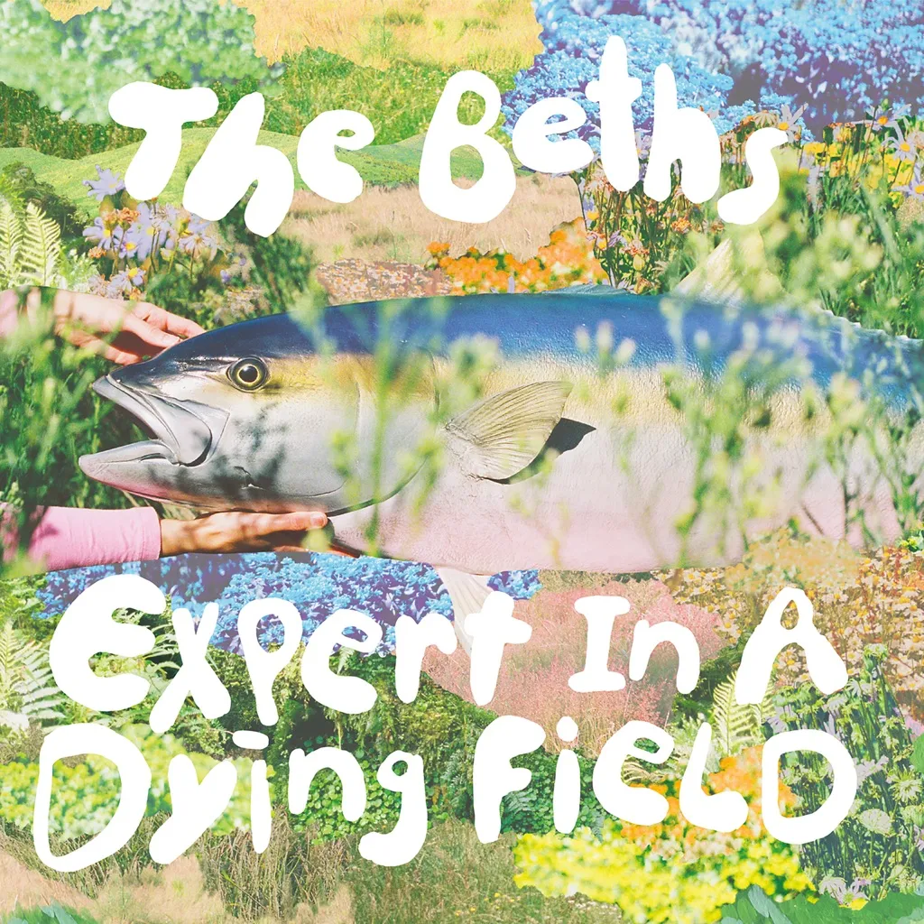 Expert In A Dying Field by The Beths cover