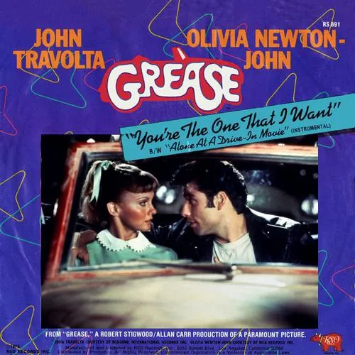 You're The One That I Want by John Travolta & Olivia Newton-John cover