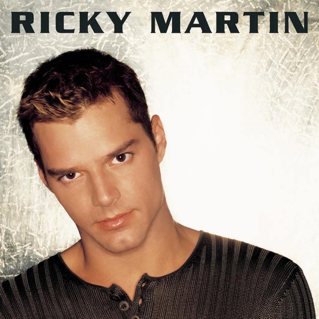 Livin La Vida Loca by Ricky Martin cover