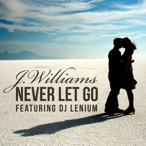 Never Let Go by J.Williams feat. DJ Lenium cover