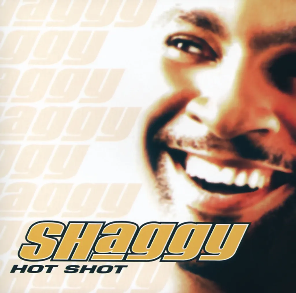 Hot Shot by Shaggy cover