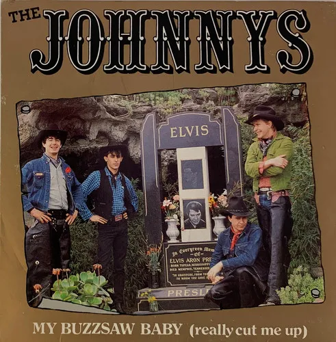 My Buzzsaw Baby by Johnnys cover