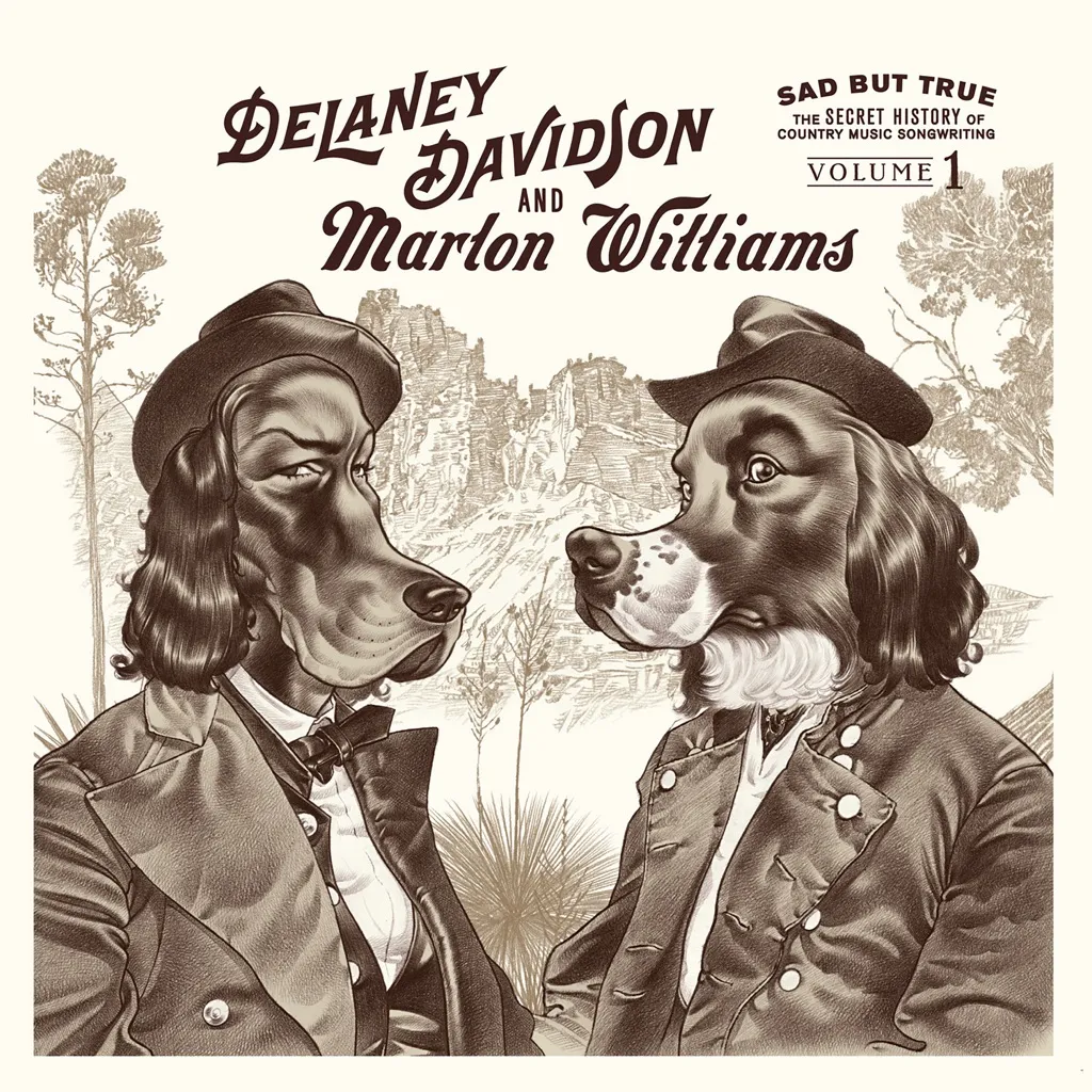 Sad But True by Delaney Davidson And Marlon Williams cover