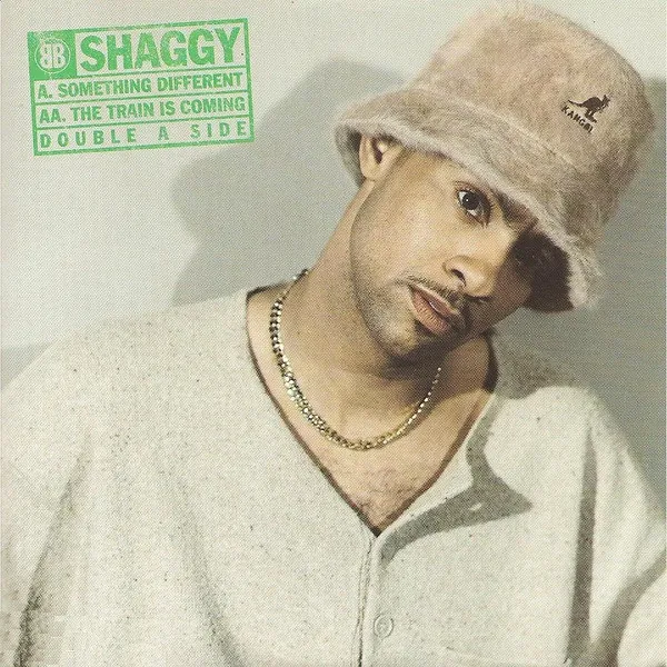 Something Different/Train Is Coming by Shaggy cover