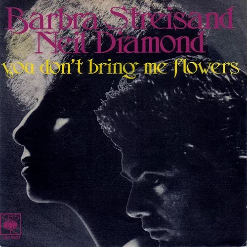 You Don't Bring Me Flowers by Neil Diamond & Barbra Streisand cover