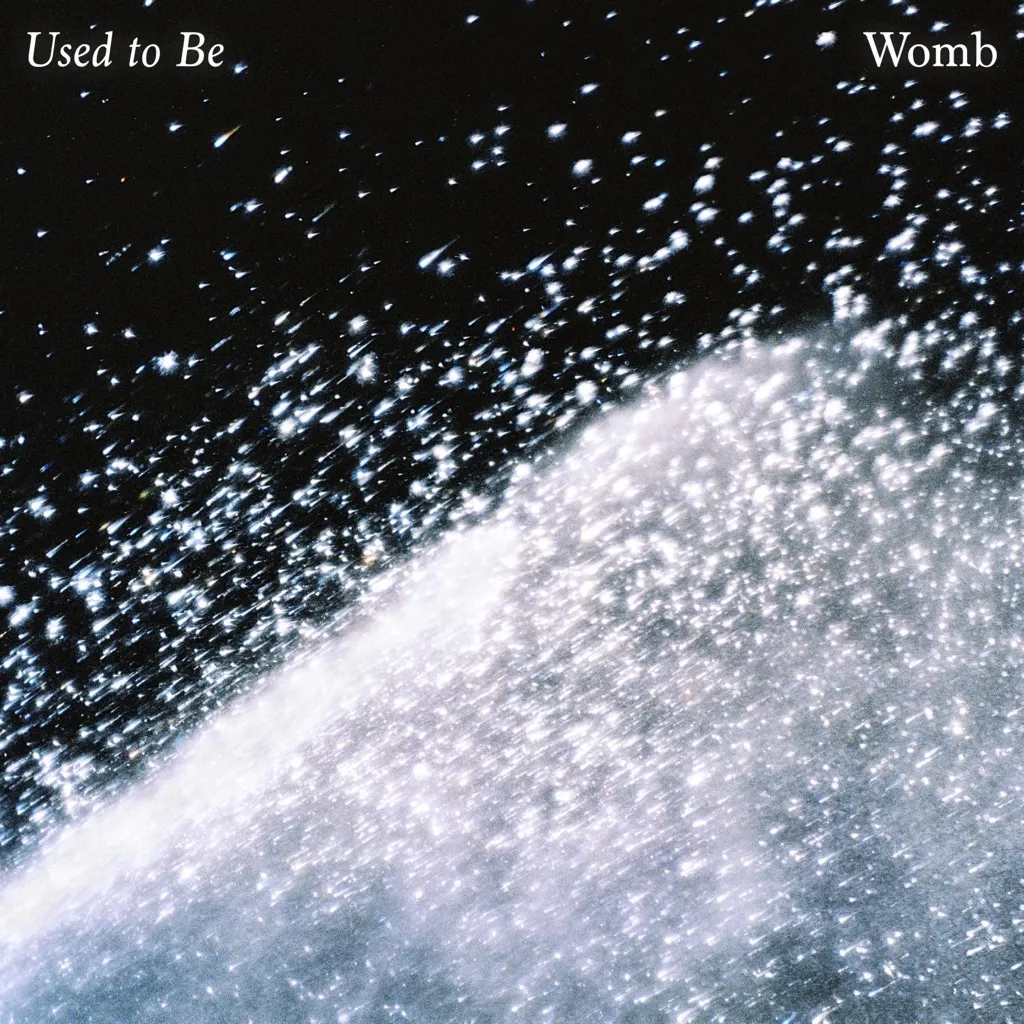 Used To Be by Womb cover