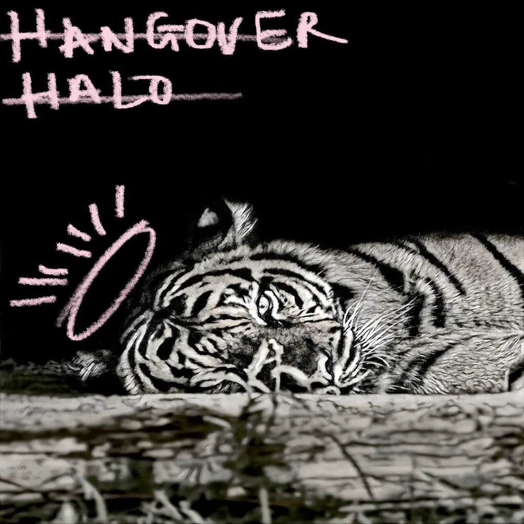 Hangover Halo by Gin Wigmore cover