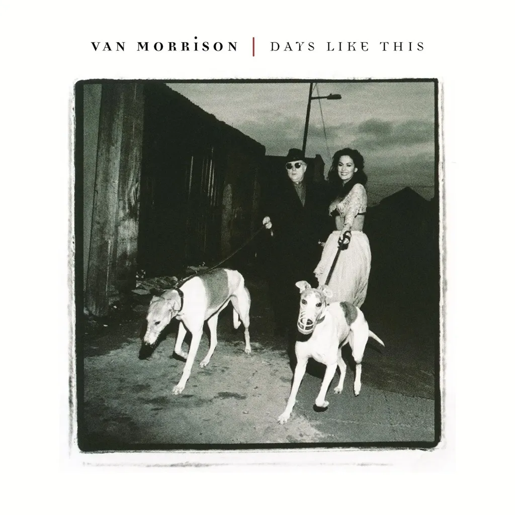 Days Like This by Van Morrison cover