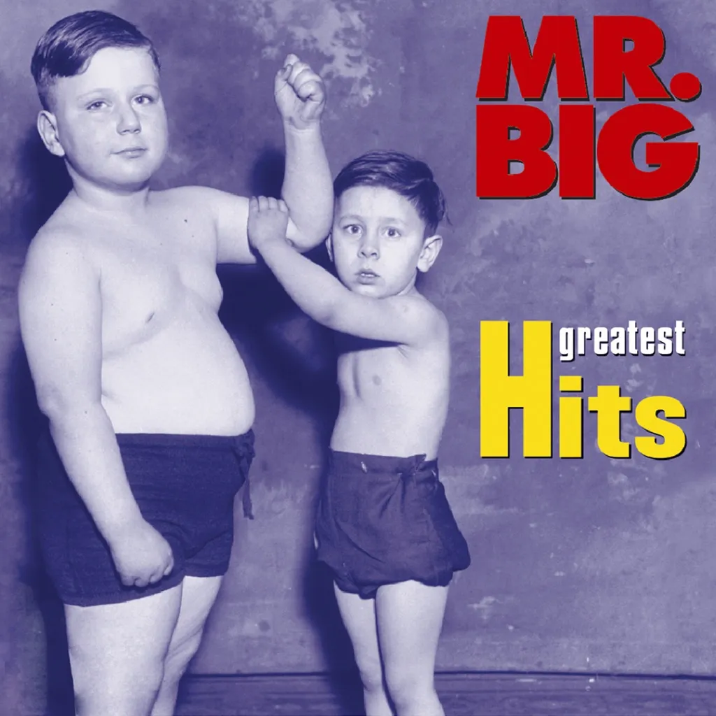 Just Take My Heart by Mr Big cover