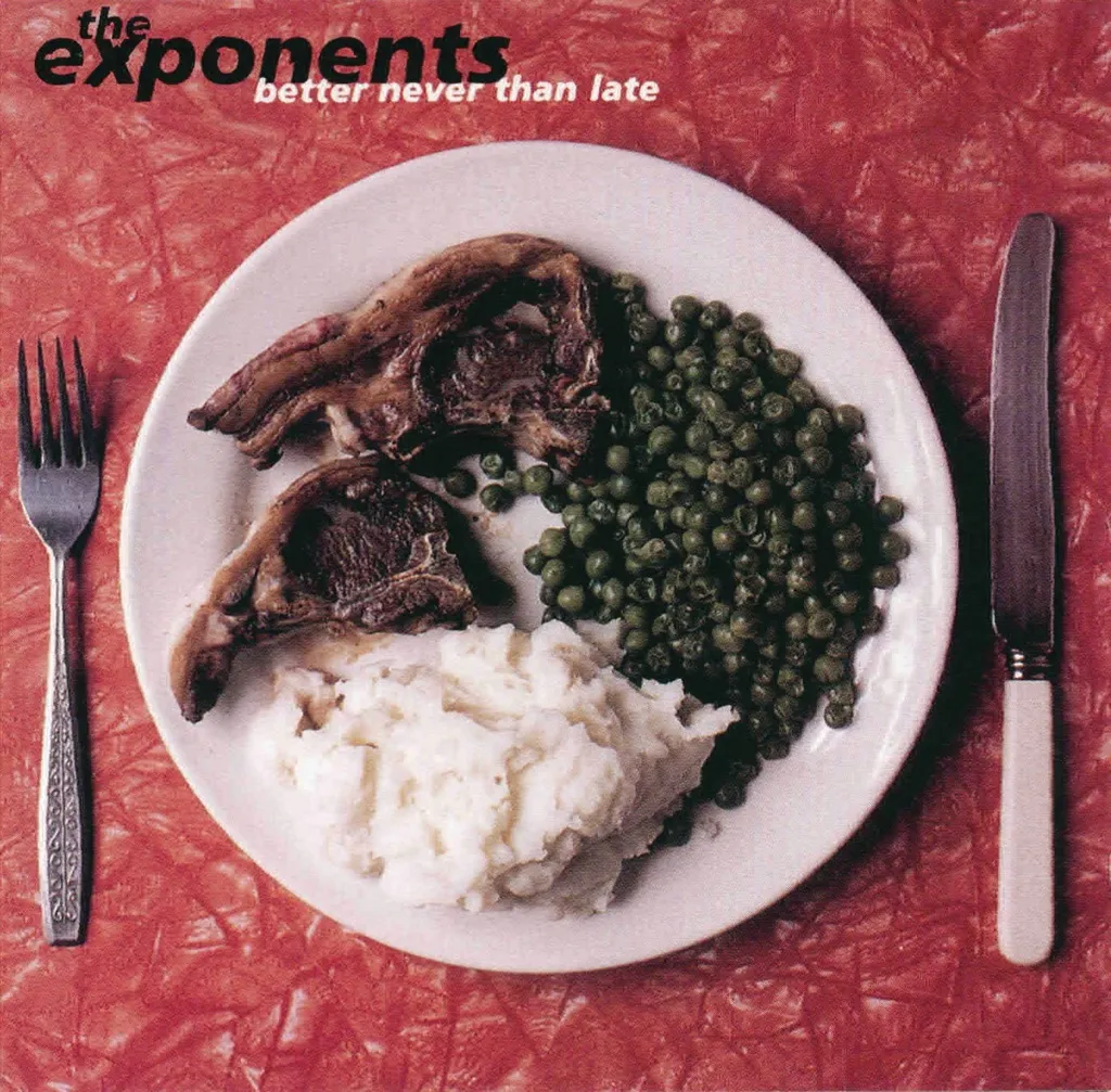 One In A Lifetime by The Exponents cover