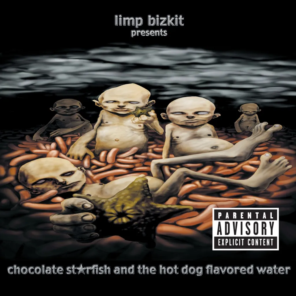 ROLLIN by Limp Bizkit cover