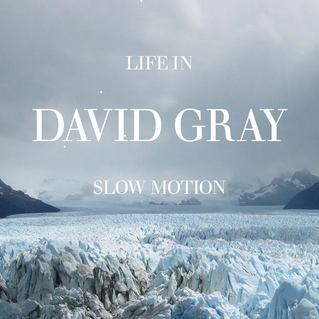 Life In Slow Motion by David Gray cover