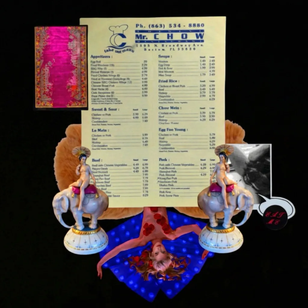 Blow The Speaker . by fakemink cover